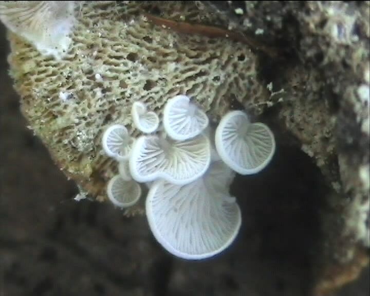 Winkel ( FRA ) 28.08.2004   2 Serie